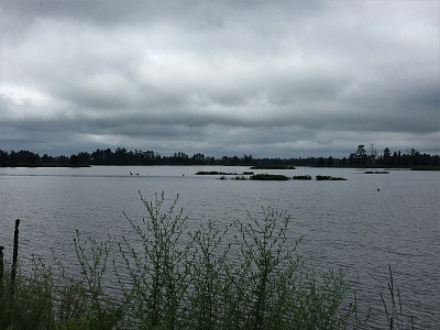 Seney Wilderness Area